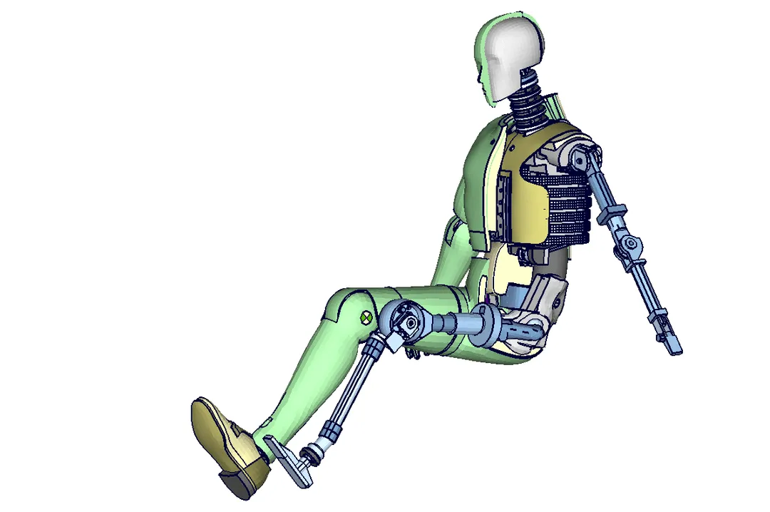H395 Querschnitt + Skelett