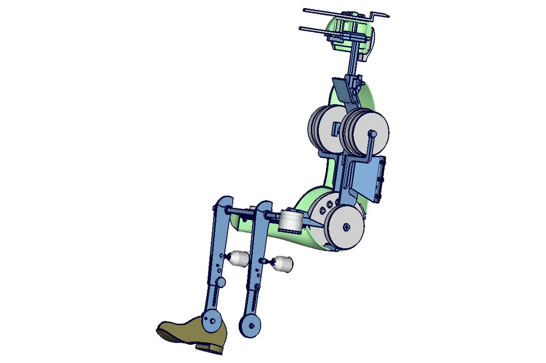 HPM Querschnitt + Skelett